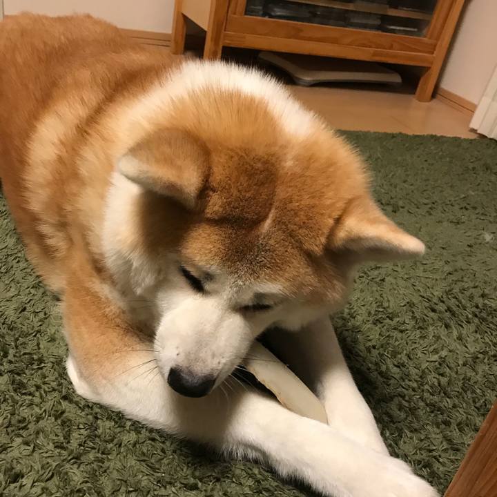 507ebd36 822e 4da7 b62b e048b7593212