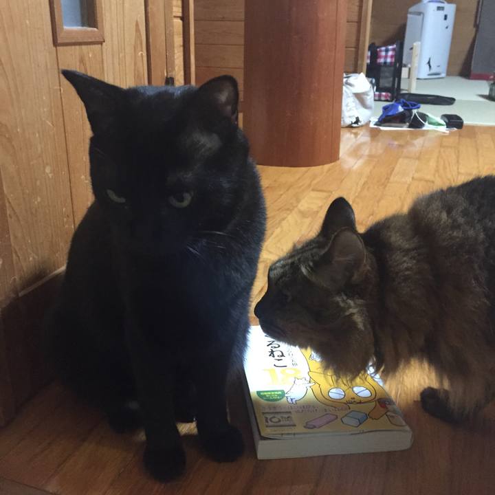 507ee0a6 ce75 4eb9 bdf6 24293521df31