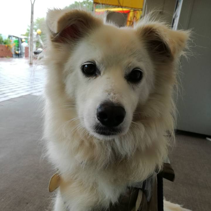 507eec1c 98cc 429e 9775 fd5c8b309116