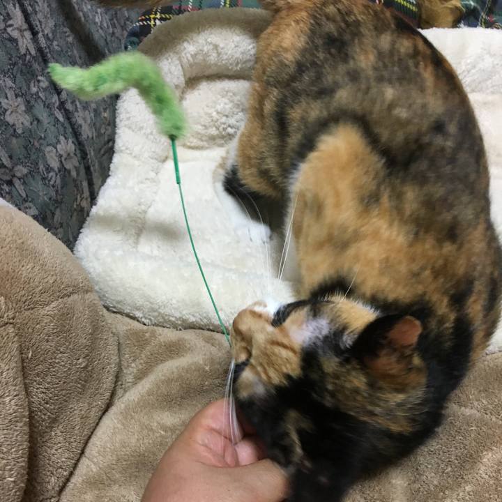 507f3510 beb1 428b b9d4 5119286a3f30