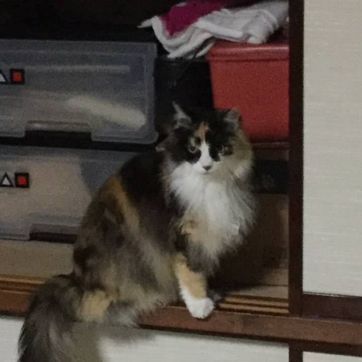 507f6b42 839c 4d3b aa89 09623a1c39de