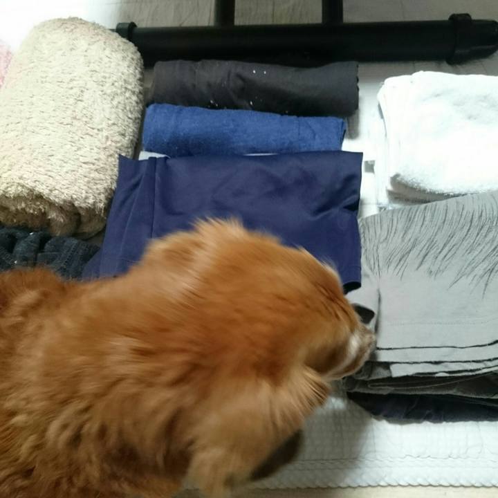 507f7360 bbc8 4045 91b5 f37e69d4d3b5