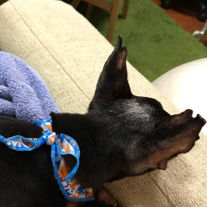 507f77d8 5528 417a ba29 b20e7c19db7b