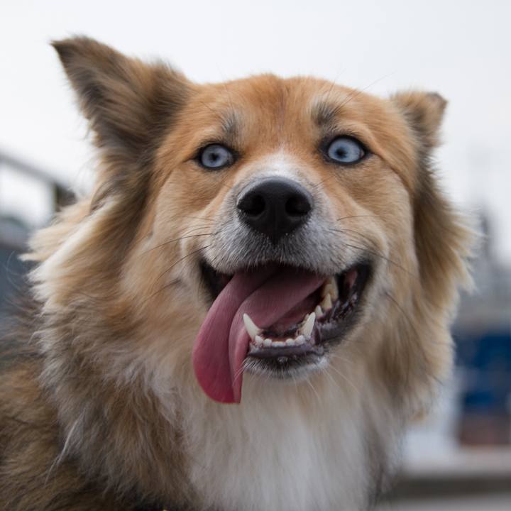 50808586 b9a1 4be3 a69f ae0d5b956968