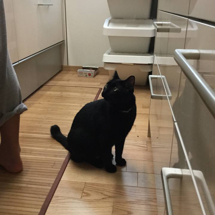 50814baa 3daa 41dc 9981 7c19f4996d6f