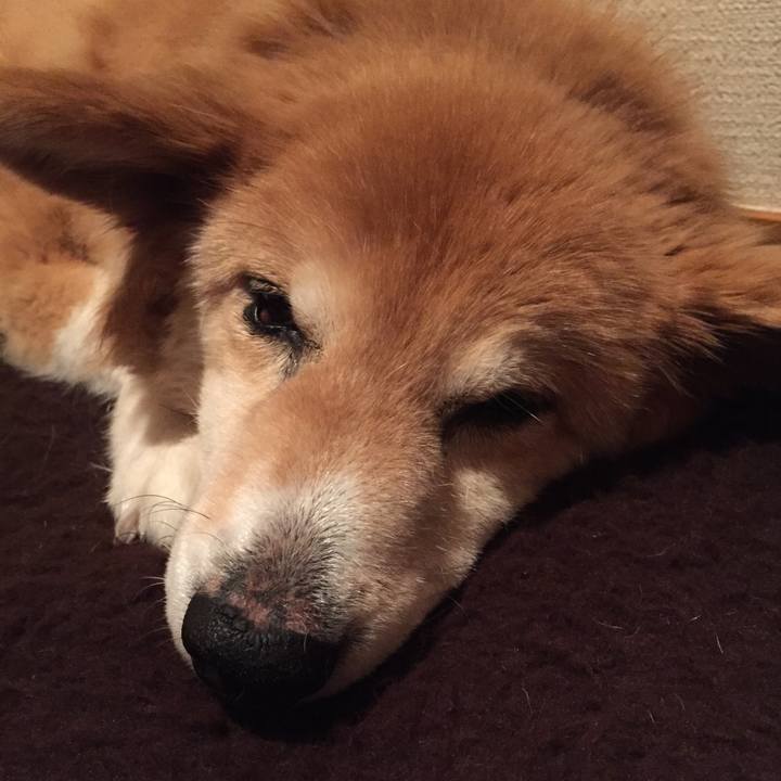 50816bd7 a352 482d a86f 5722b2434df8