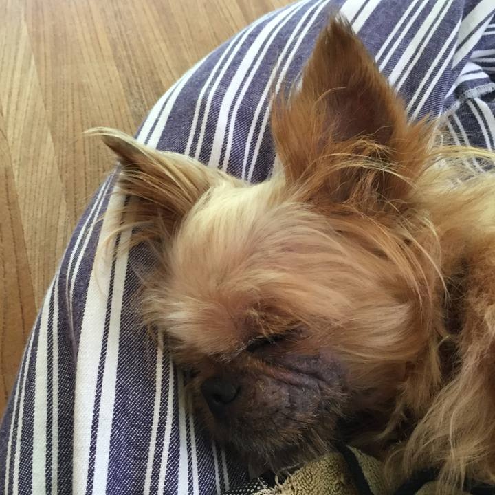 508181c8 dfbc 42ed 84ca 94e982da2571