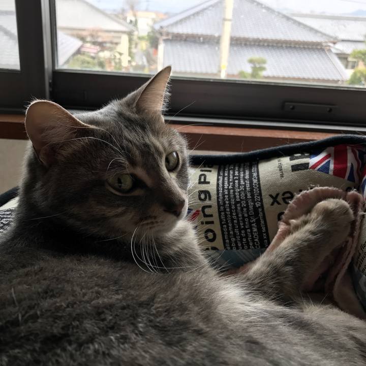 5081f2f5 e77e 46d6 bfdb 8d0ebd73229f