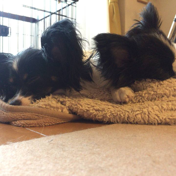 508202b0 f5c8 4d0c aa58 7a1d16da4764