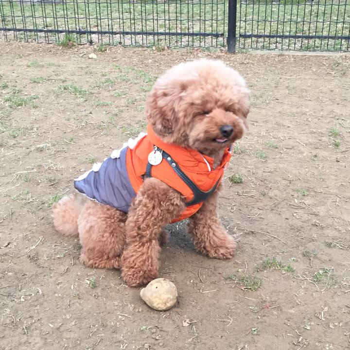 50834255 da2d 487e a226 650302107961