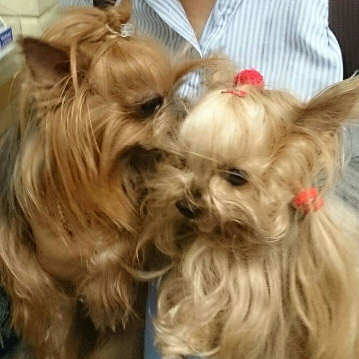 50840ea0 5568 4720 89f3 a6c3eec47aad