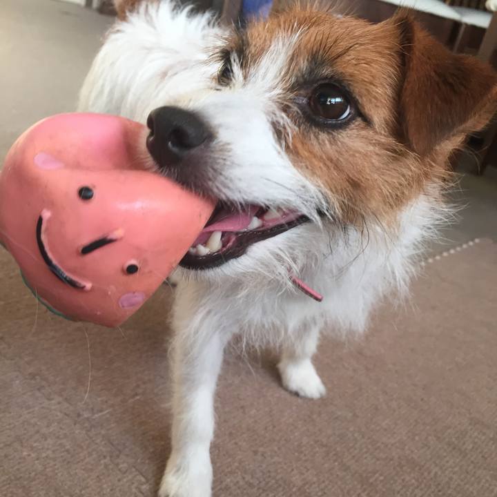 50842a94 1e5f 42fb a4ad 77b18f24e98f