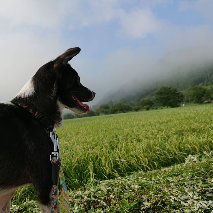 5084310c b729 4e9c a4d9 7c16dcc59feb