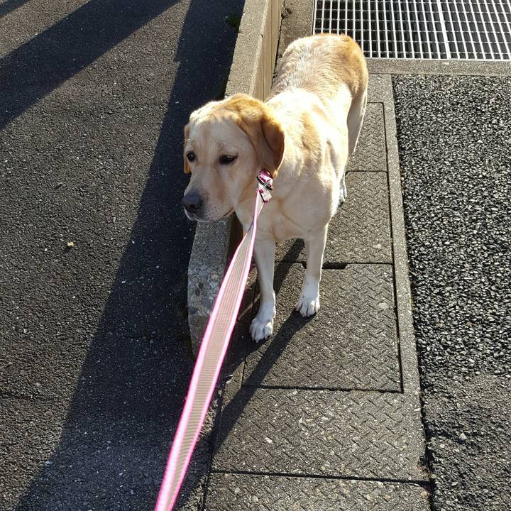 5084625e b135 48a8 bf1c 46238767b7ee