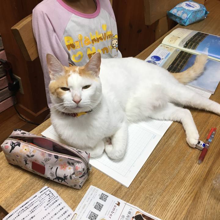 50846640 5a05 490e 950c e1d1ada41256