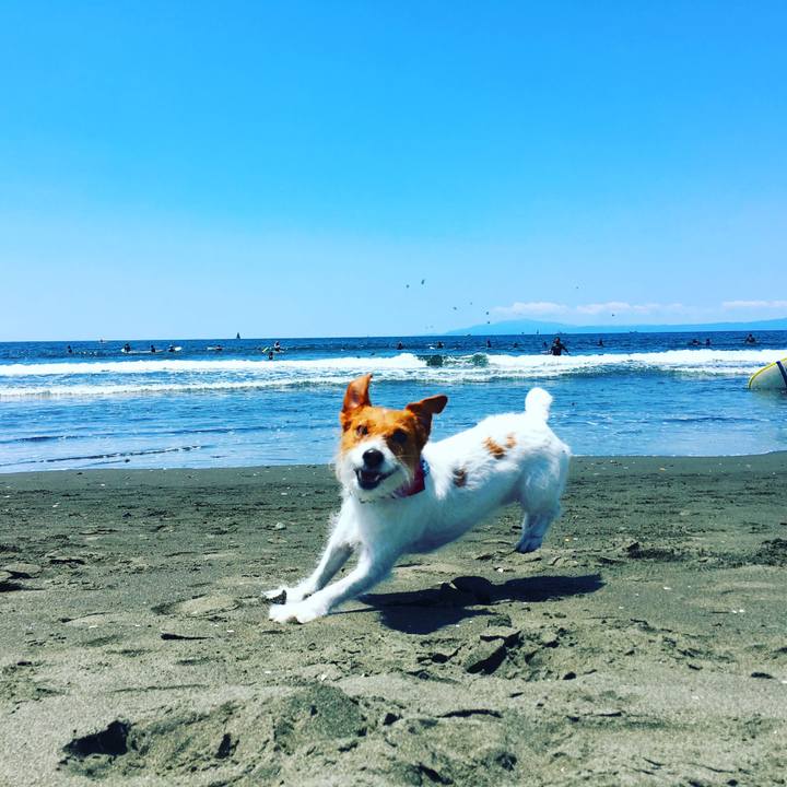 5084ae2f 4c83 42ac b7da 88063618823a