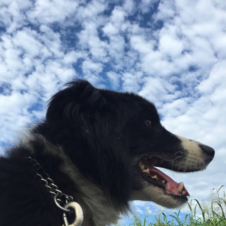 5084f85e 4837 4b1a befb e1ac083c72b0