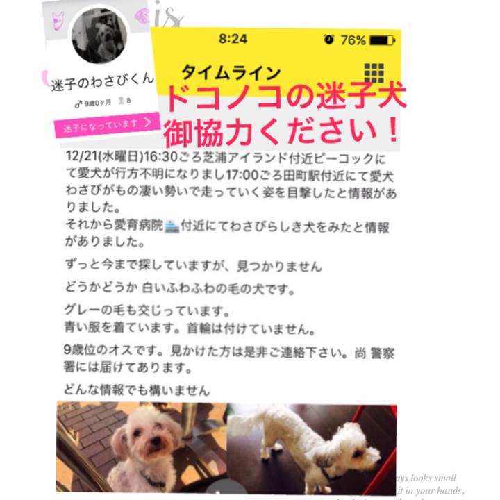 50858ae1 a6c3 4462 b157 cef7636db18d