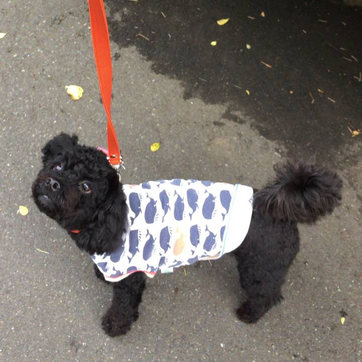 50860f99 6b40 41de bad2 79d31a244c47