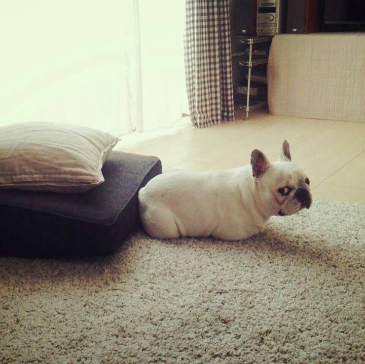 50861df2 3078 421b 87c5 75fd4a13c47a