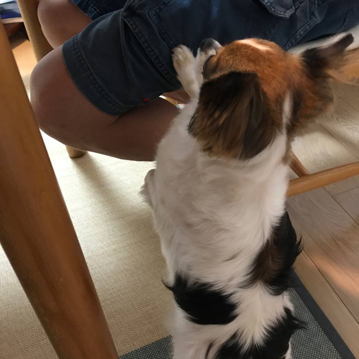 50865a5c 5bce 429e ae46 60884a79e2cd