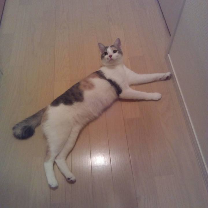 50872905 9e2b 4d88 a732 69bcccecee5a