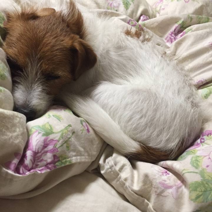 50882a77 e998 4cda 9f4c c79d77ad6365