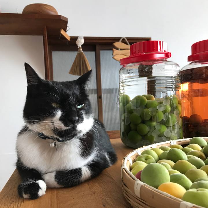 50890761 cd5b 4b22 9c1e 09cd6ba0e854