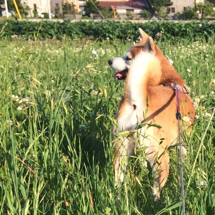 50892403 5f41 45c5 a8e8 71ebaf52b5d4