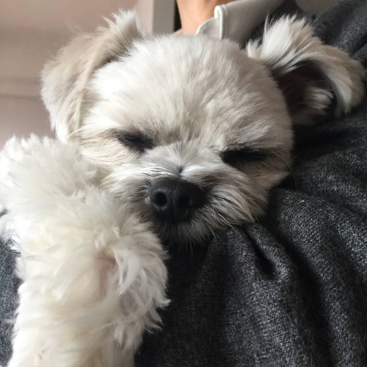 508958ed 318c 44d0 b224 a6c6ffd5cefe