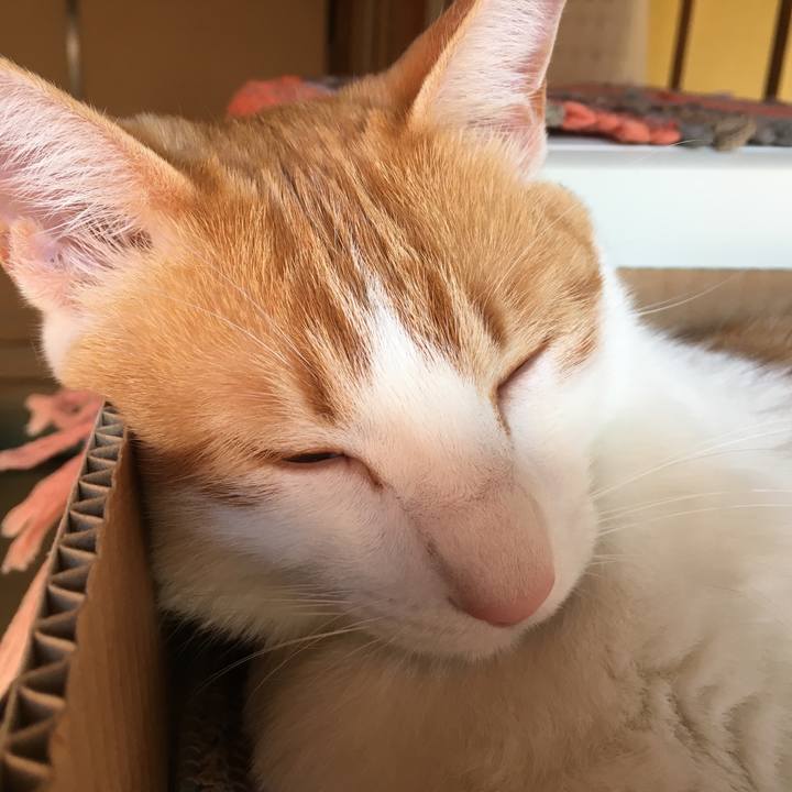 5089d9df d466 4348 9bc2 ff5e13b3678d