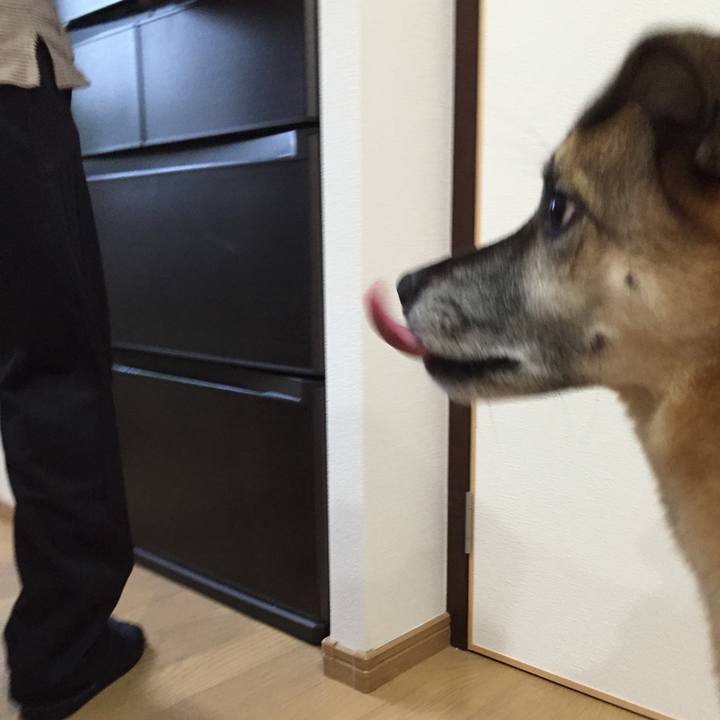 508a17de 89e1 4e9f b9d1 9f8785dd19cc