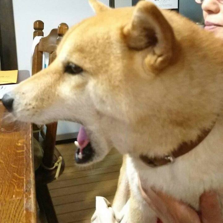 508a976b 8a61 4a18 8463 ef52142d108b