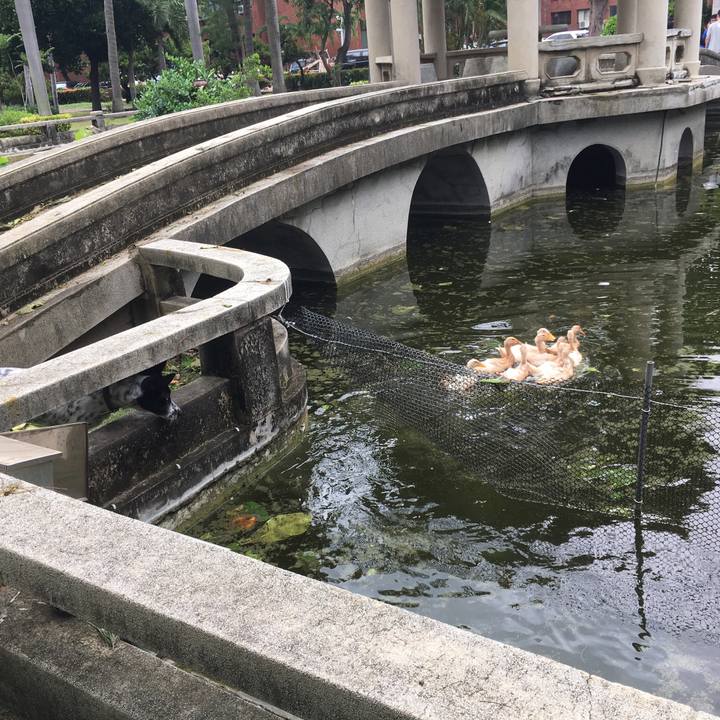 508c0d22 00ef 401c 9841 371c5ac09e12