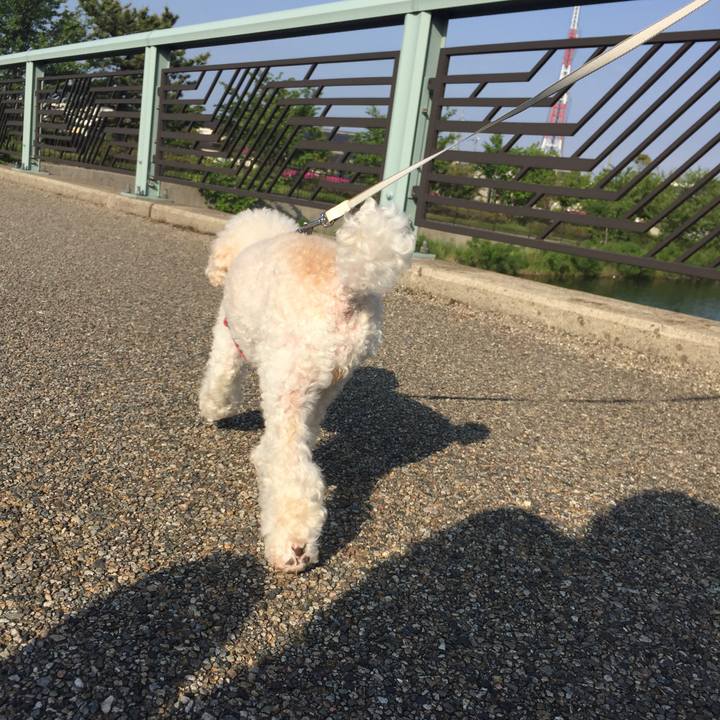 508c8a1a c74b 4bcb bf22 9eed32b158eb