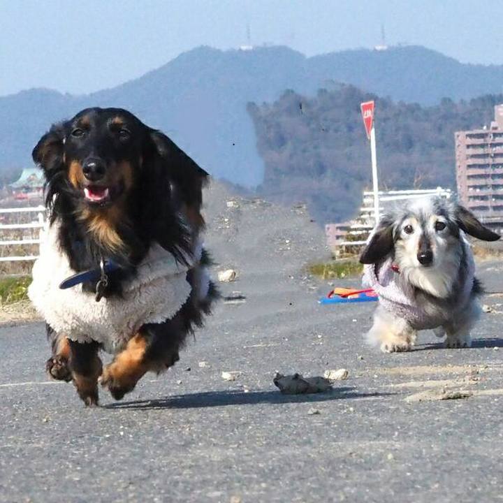 508cd708 422a 4eb3 8e20 763c2b345fea