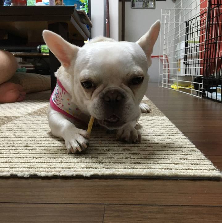 508ce8ee 8293 4a12 abbf 2443f65d1b08