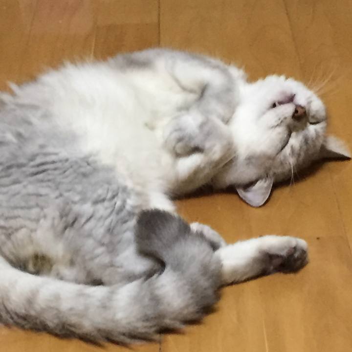 508cf9b9 bf3e 4b1a 95a8 af8c4d91c239