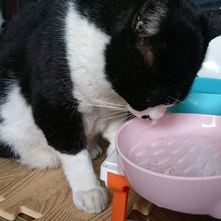 508d1fbd 4a46 418b a73e 3b2e2aff3829