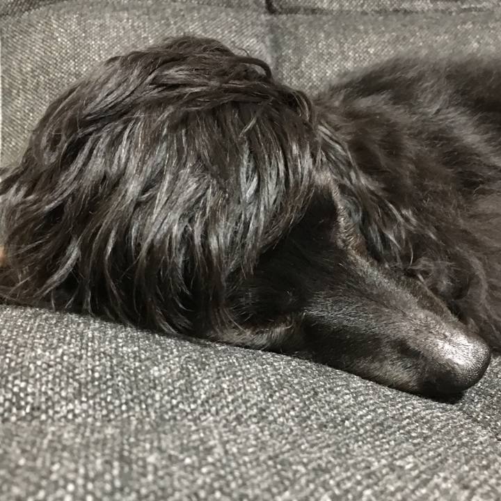 508d205f cd6f 4b6c a4d0 c9cb15bcedc8