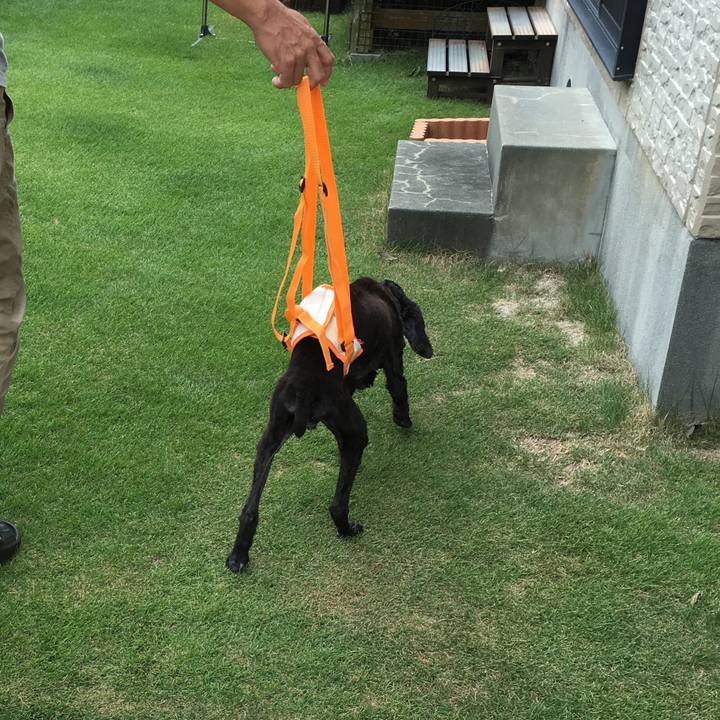 508d2775 6035 4f8b 90e7 d3294cb8e4c9