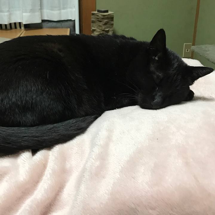 508e602c fb1c 409f b8c7 e01b474bf314