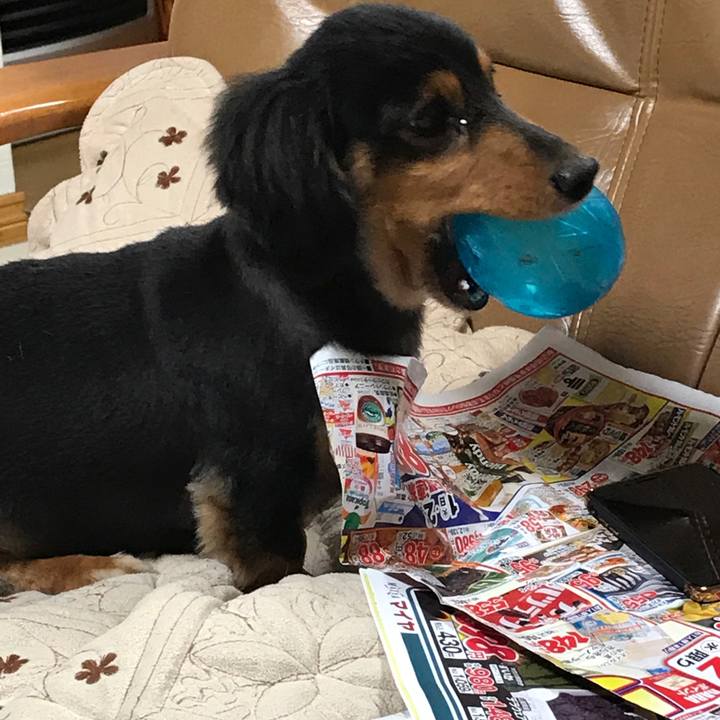 508f4514 db88 47b8 b5da f276cd48646f