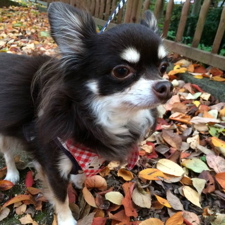 509033f4 26d3 43dd 8bed 2f6856f541f1