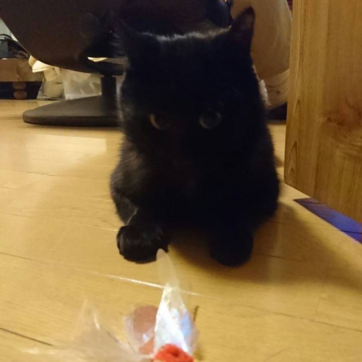 50909184 bb57 4b67 8d5f 6c6f5bc6fa5c