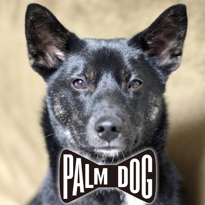 5090e3b3 c4df 45a7 9b6c e47670428b79