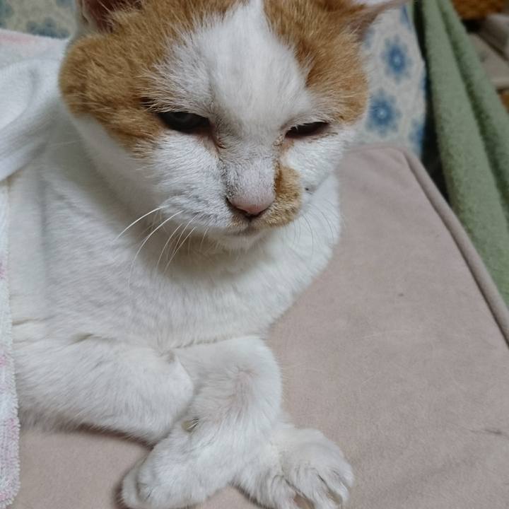 5090e4d2 9022 454d af2f 7c977ffc6301