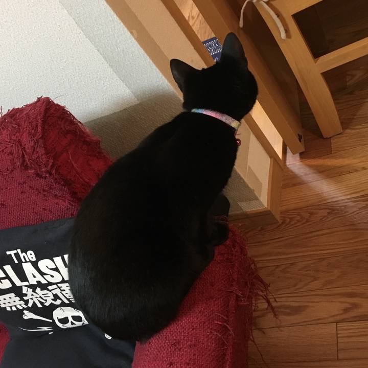 5091666b a413 4a5e 8a76 9c88b720fdb3