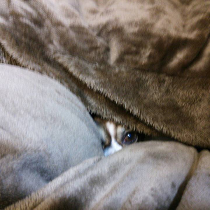 50919964 7424 47a5 b963 9ffe382974a5