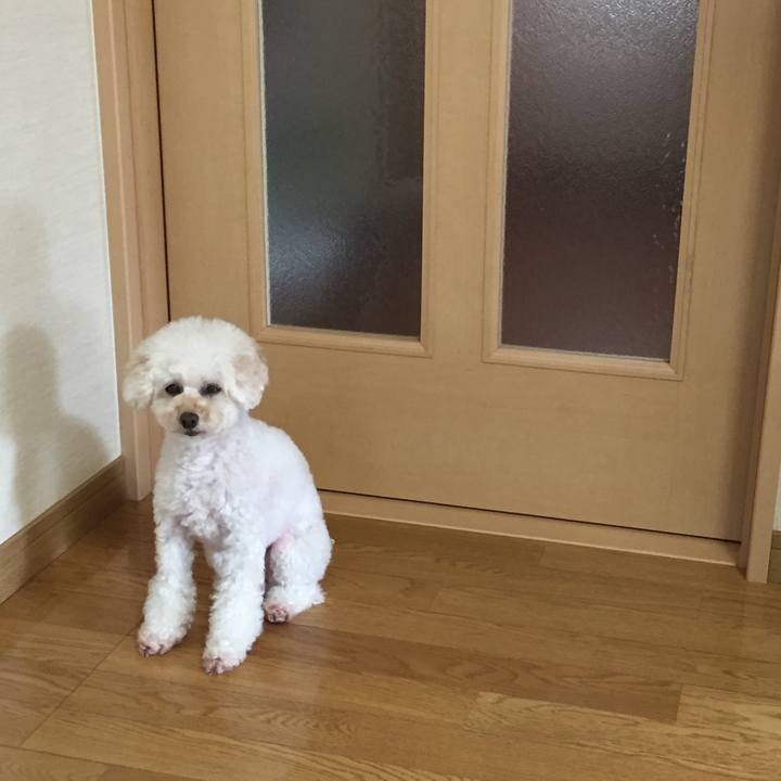 509224cd 8a17 43ba a146 ce12cf231720